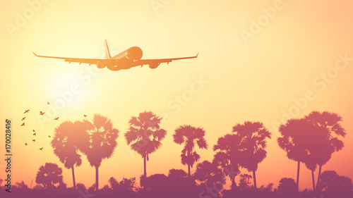 Airplane flying over tropical palm tree and sunset sky abstract background.