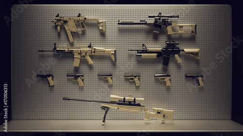 Firearms Display 