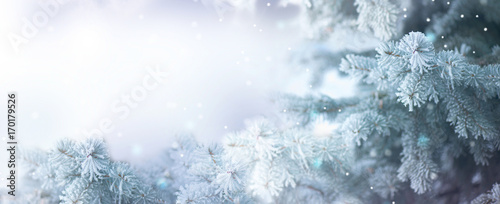 Winter tree holiday snow background. Beautiful Christmas border art design