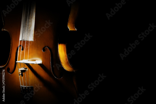 Cello orchestra musical instruments