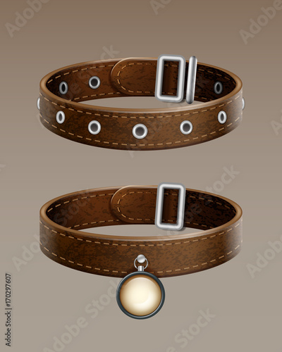 Vector leather collar