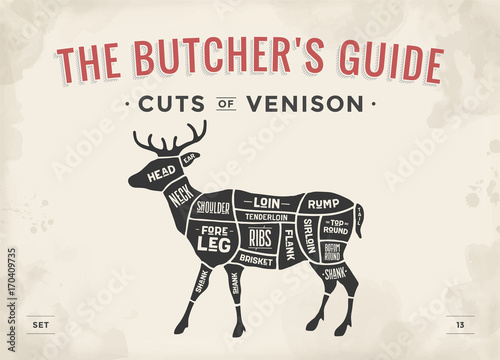Cut of meat set. Poster Butcher diagram, scheme - Venison. Vintage typographic hand-drawn deer silhouette for butcher shop, restaurant menu, graphic design. Meat theme. Vector Illustration