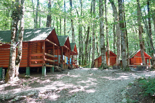 wild cabins