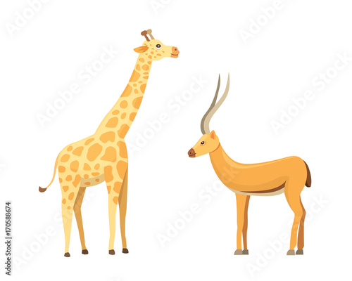 African animals cartoon vector set. Antelope and giraffe.