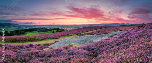 Panorama at Twilight over Rothbury Heather, on the terraces, which walk offers views over the Coquet Valley to the Simonside and Cheviot Hills, heather covers the hillside in summer