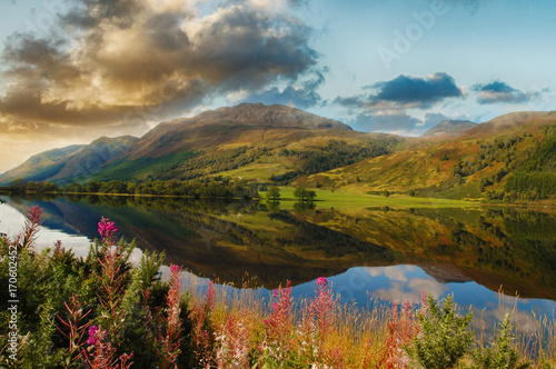 epic scenic loch in the scottish highlands. beautiful landscape from scotland with mountains, flowers and a loch with water reflections