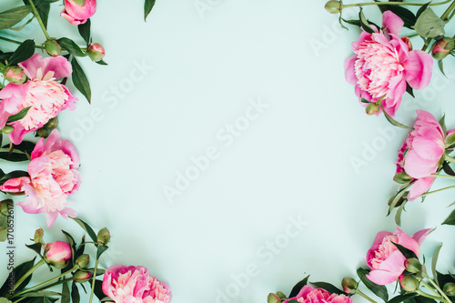 Frame wreath of pink peony flowers, branches, leaves and petals with space for text on blue background. Flat lay, top view. Peony flower texture.
