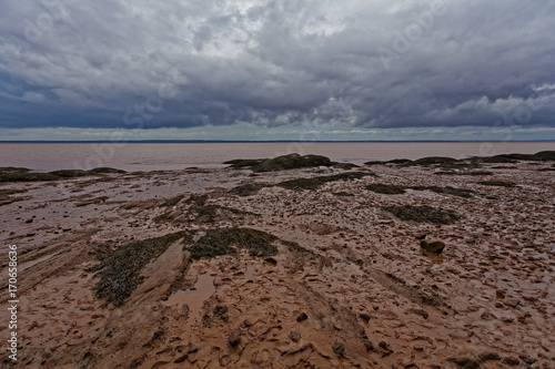 Hopewell Rocks Mud Beach