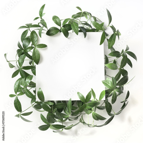 Creative layout made of green leaves with empty space for note on white background. Top view. Nature concept.