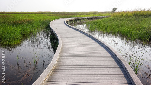 Boardwalk Through Marsh in Sabine National Wildlife Refuge in Louisiana