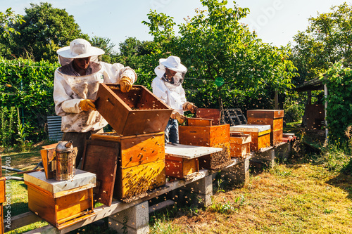 honey production and bees keeping