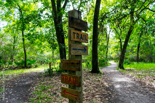 wooden trail sign where the nature path splits into two seen while hiking on a hot summer morning
