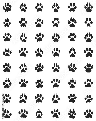 Black print of dogs paws on white background