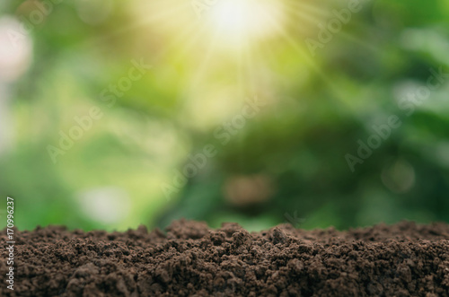 soil for planting with green blur and sunlight background