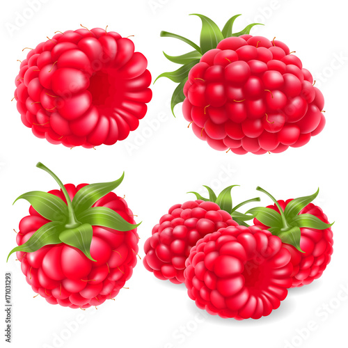 Raspberry set