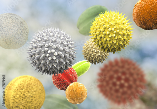 Pollen grains from different plants, 3D illustration. They are factors causing hay fever and allergic rhinitis