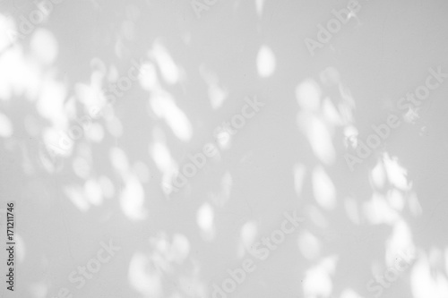 Black and White abstract background textuer of shadows leaf on a concrete wall.