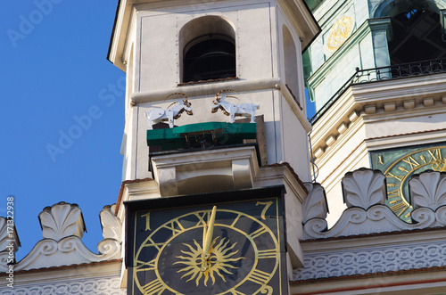 Goats fighting on the tower - symbol of Poznan, Poland