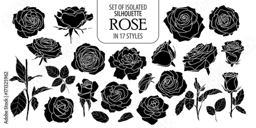 Set of isolated rose in 17 styles. Cute flower illustration in hand drawn style. Silhouette on white background.