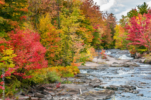 a river flows in a forest full of red maple trees and yellow birches in the heart of the Quebec autumn