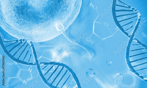 DNA molecule,cells and ovulation.Genetics research concept