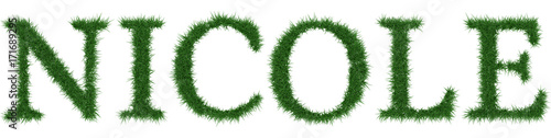 Nicole - 3D rendering fresh Grass letters isolated on whhite background.