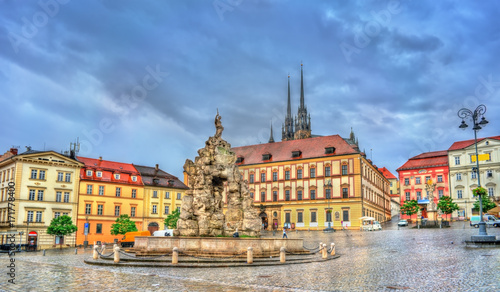 Parnas Fountain on Zerny trh square in the old town of Brno, Czech Republic