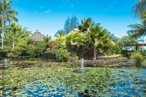 Papeete, Paofai gardens, Tahiti in Polynesia 