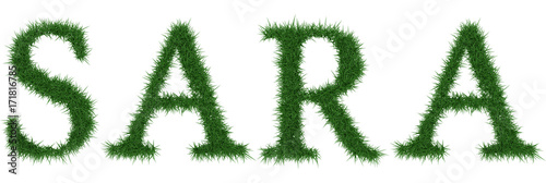 Sara - 3D rendering fresh Grass letters isolated on whhite background.