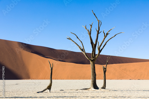 Namibias Wüste