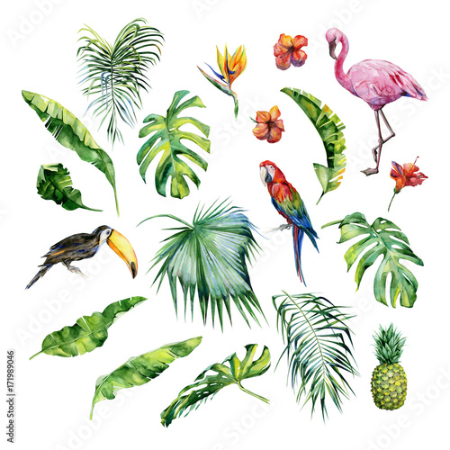 Watercolor illustration of tropical leaves,flamingo bird and pineapple. Toucan and scarlet macaw parrot.Strelitzia reginae flower. Hand painted. Banner with tropic summertime motif. Palm leaves.