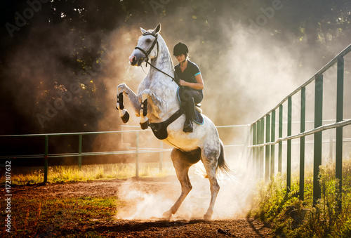 Woman riding a horse in dust, beautiful pose on hind legs