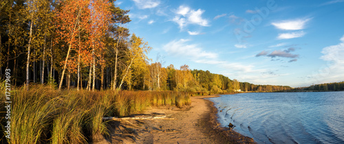 осенний пейзаж на берегу озера с лесом и камышом, Россия, Урал 