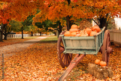 Fall Colors & Pumpkins in a Cart