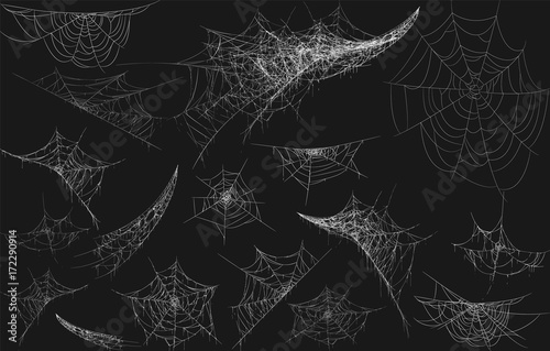 Halloween decor, spider cobweb, hand drawn vector illustration.