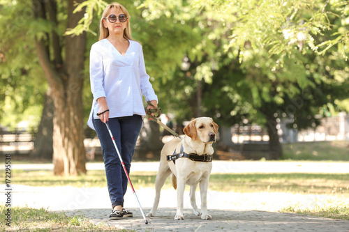 Guide dog helping blind woman in park