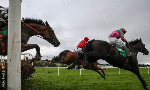 Race horses and jockeys jumping hurdles 