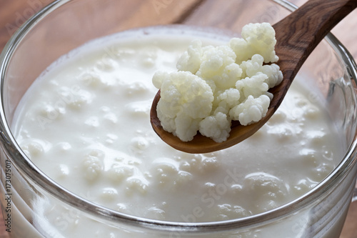 Kefir grains above a jar of milk kefir