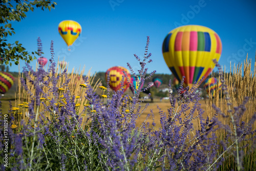 Balloons in Pagosa Springs, Colorado