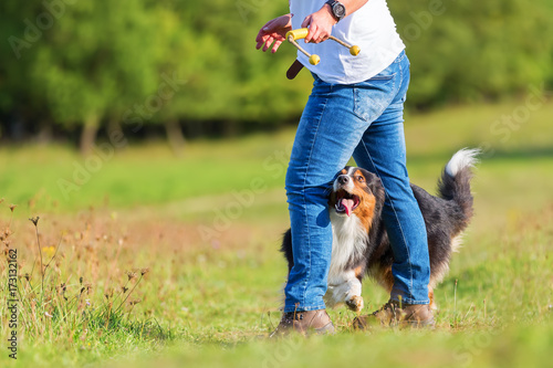 Woman makes dog dancing with her dog