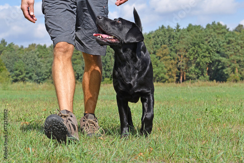 Man walk with dog in the park at sunny day.