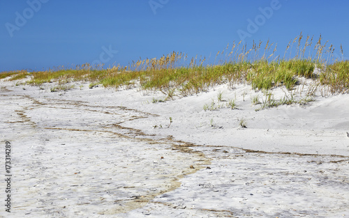Sand dunes and sea oats at Topsail Beach, North Carolina