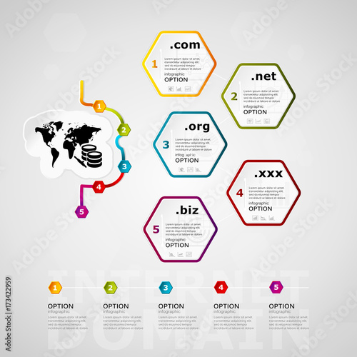 Internet domain timeline infographics design with five steps or options 