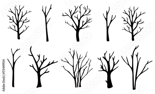 Naked trees silhouettes set. Hand drawn isolated illustrations.