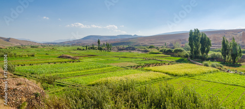 Lush fertile valley of Dades Gorge landscape with green plantations and fields, Morocco, North Africa