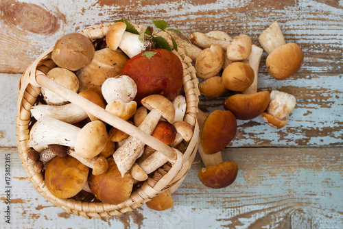 Variety of uncooked wild forest mushrooms in a basket on a wooden old board. Top view.