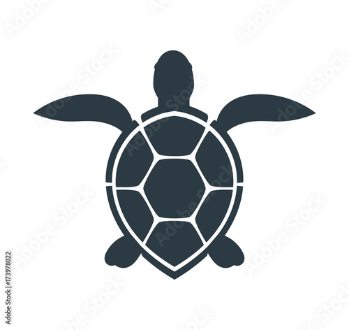 Sea turtle icon.