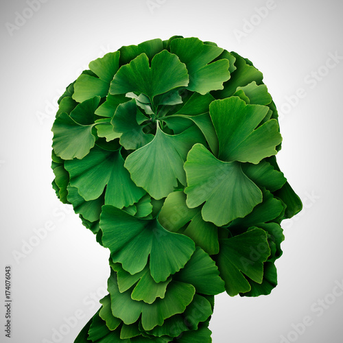 Ginkgo Biloba leaf Head