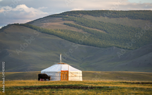 mongolian gers in a landscape