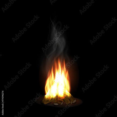 Burning Bonfire With Wood